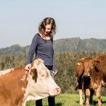 Unsere Rinder – Biohof Brandner